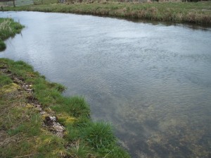 A tributary of the River Itchen at Winchester